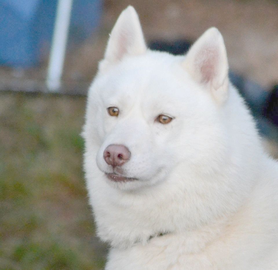 Hurricane's power of Wolf's River