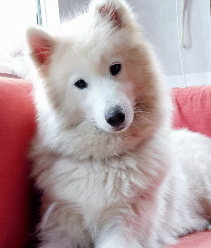 Utah Des Perles De L'estran